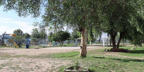 Terreno en Venta en Fraccionamiento Bosques de San Juan