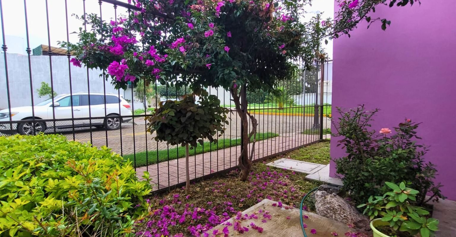 Casa de un Piso de 223 m² en Fraccionamiento Bosques de San Juan