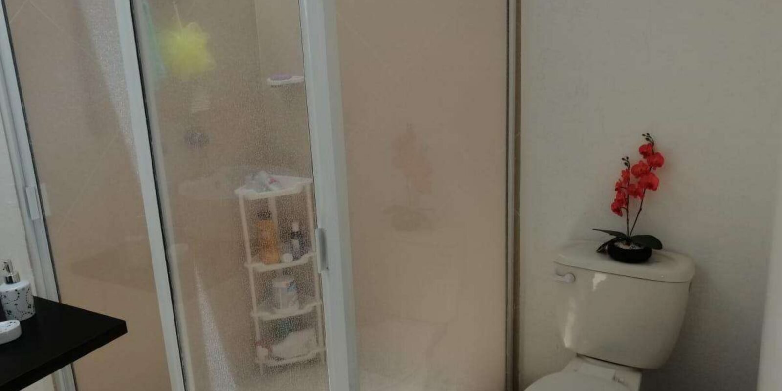 Casa en Renta Amueblada Fracc. Agave Azul. San Juan del Rio, Qro.